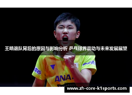 王皓退队背后的原因与影响分析 乒乓球界震动与未来发展展望