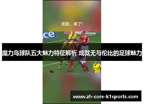 魔力鸟球队五大魅力特征解析 成就无与伦比的足球魅力